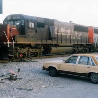 SD50