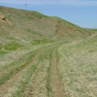 More cuts and curvature
