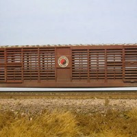 Northern Pacific Big Pig Palace Car