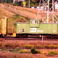 BN Caboose 196