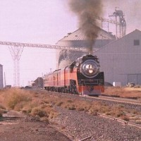 4449 Montana Trip