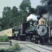 Park Train