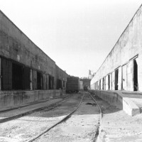 Galveston Wharf