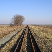 Rails in the middle of nowhere.