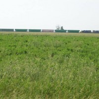 rail fanning campground C, CSX[old PRR]