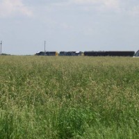 campground rail fanning