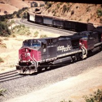 SP118 leading beets westbound through Cliff, 6-99