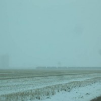 BNSF unit grain train loading