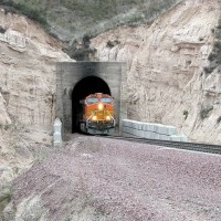 DSCN4387