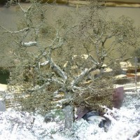 Tree making with sea foam