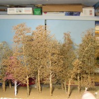 Tree making with sea foam