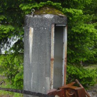 aal