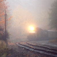 outofthefog_timber