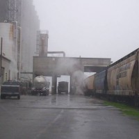 Foggy AM at the Murphy-Brown, "Chief" feed mill, Rose Hill, NC