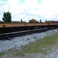 Rail train