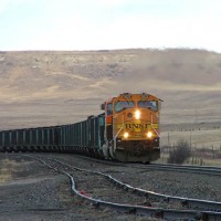 Joint Line coalie near Palmer Lake, CO