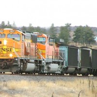 Joint Line coalie sout of Castle Rock, CO