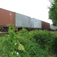 Container train
