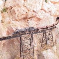 2-6-6-0 and log train