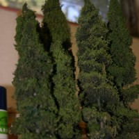 IMG_0451