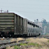 greeley_cz