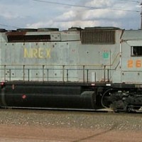 nrex