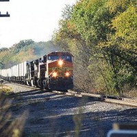 36350006