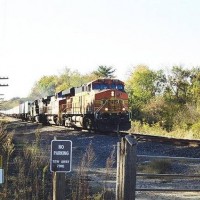 36350007