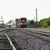 36350009