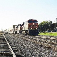 36350010
