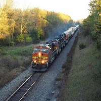 36350013