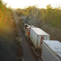 36350014
