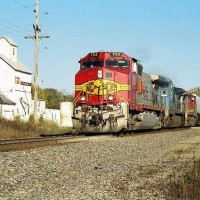 36350011