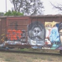 Graf-Frida