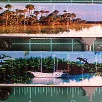 Visit Florida trailers