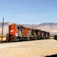 SP 3338