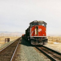 SP 9815