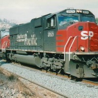 SP 9818