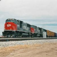 SP 9804