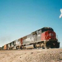 SP 9811