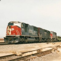 SP 9815