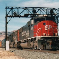 SP 9819