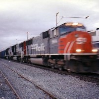 SP 9804