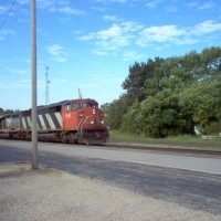 CN #5546 and CN #6924