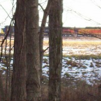 Rail fanning from my train room window