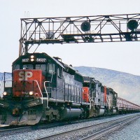 SP 8637