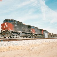 SP 144