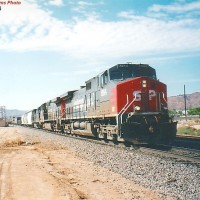 S P 8184