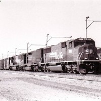 SP 9811