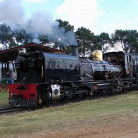 SAR 2-6-2+2-6-2 Class NG G16 Garratt No 113